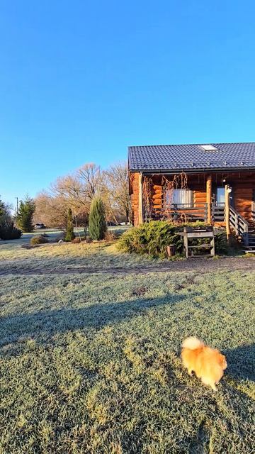 Раннее утро в глэмпинге Холки, Белгородской области