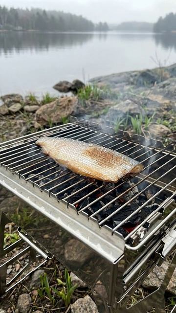 Пелядь, которую хочется снять вовремя