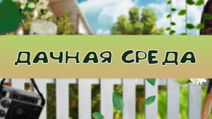 Дачная среда: оберегаем сад при возвратных заморозках