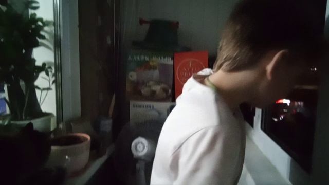 жуткие видео наблюдаем с котом