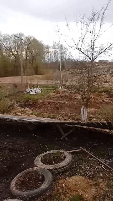 29.04.26. Снесло забор