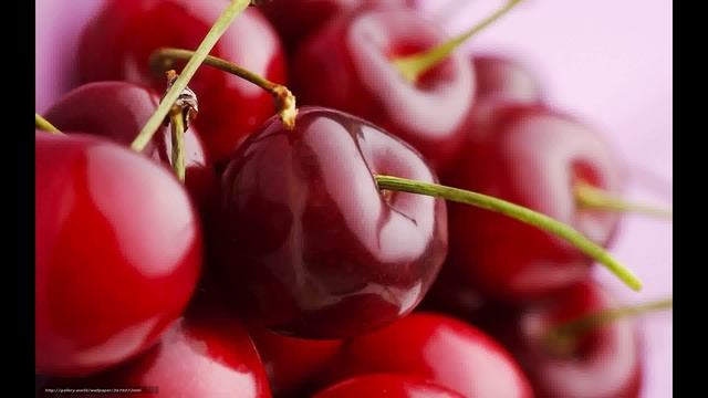 Теория одекватного питания