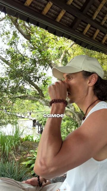 Неудобная правда об уб**стве коров