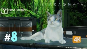 КОСМИЧЕСКАЯ ТЕПЛИЦА ► PRAGMATA #8