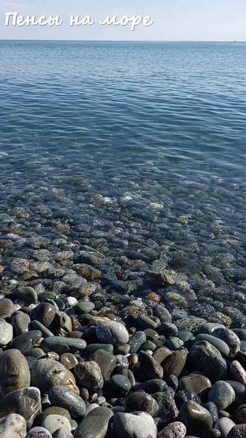 К вопросу об экологической обстановке.  ФТ Сириус, имеретинская набережная. Конец апреля 2026 года.