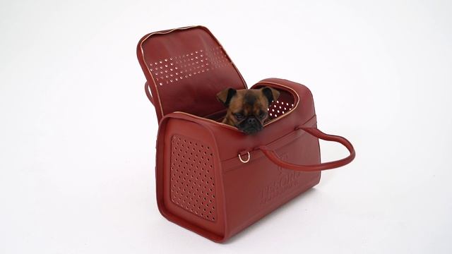 Авиа сумка для собак Tesoro Collezione