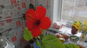 ДОБРОЕ УТРО/ ПРОЩАЙ АПРЕЛЬ