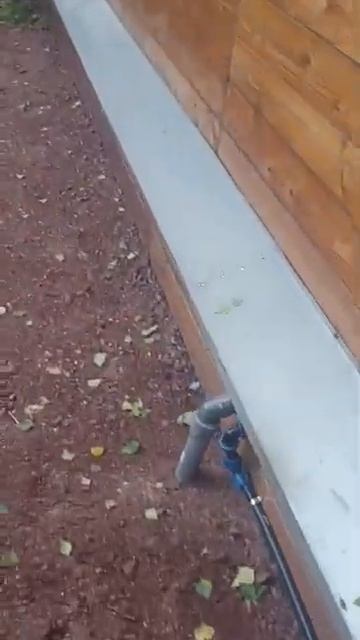 Дачный септик.mp4