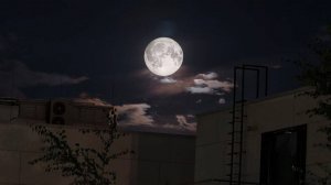 Тихий Дон М.Шолохов.гл.3, 4