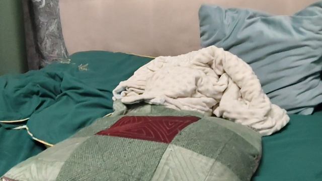 школа 🏫 для животных???? чёё????????? 😱😱😱😱😱😱😱😱