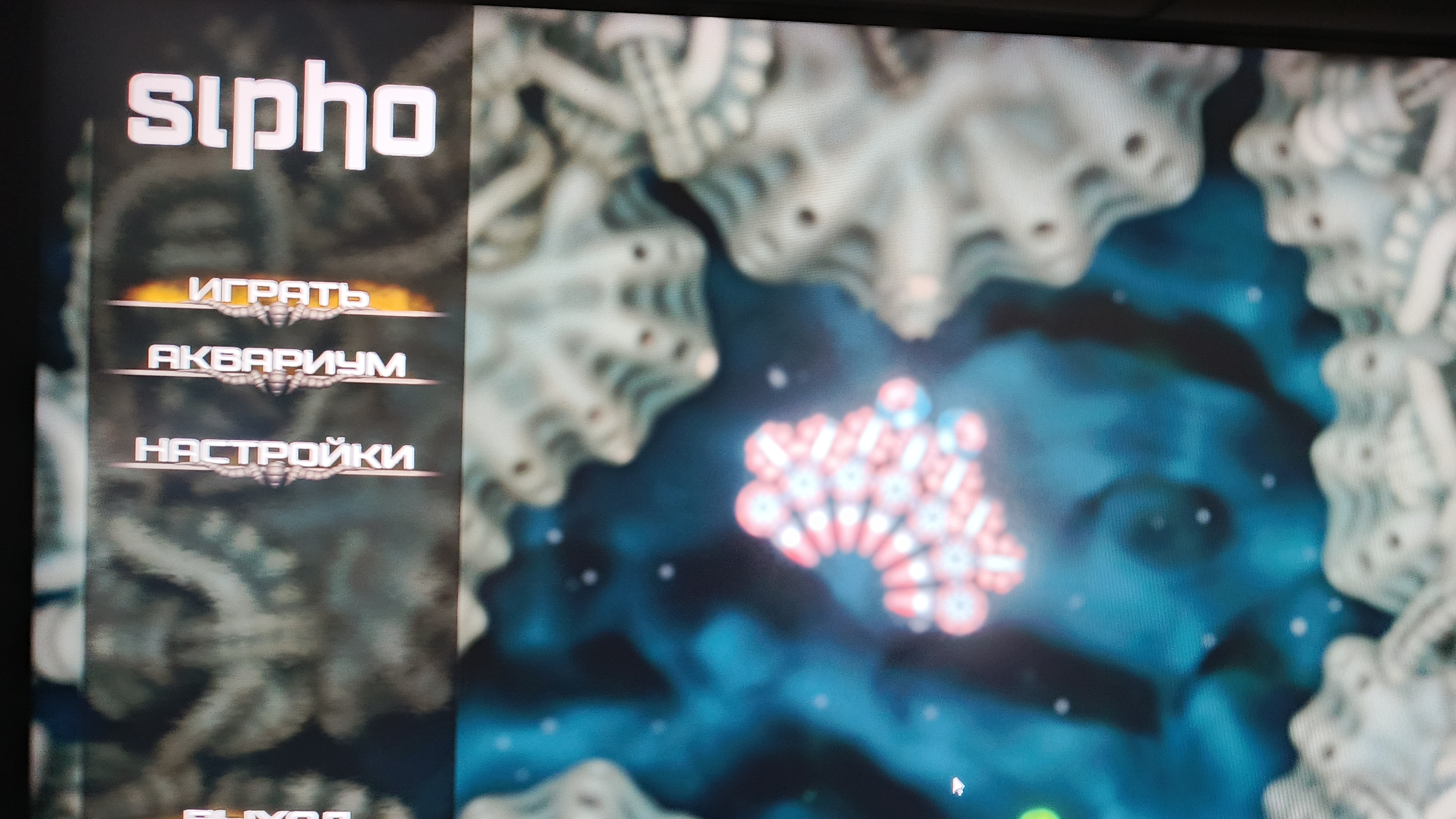 Dezi Adckeri Corector