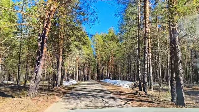 Природа Коми в апреле 2026 г.Выезд в лес.