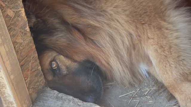 Шарик вырос!)💪