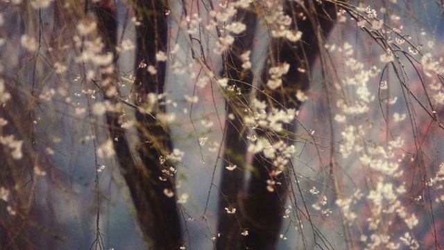 С.Дубровин и Л.Шепилова - А над речкой туман