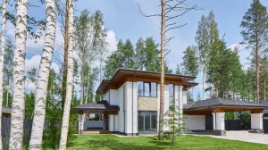 Ленинградская обл.,Всеволожский р-н,массив 38 км Выборгского шоссе