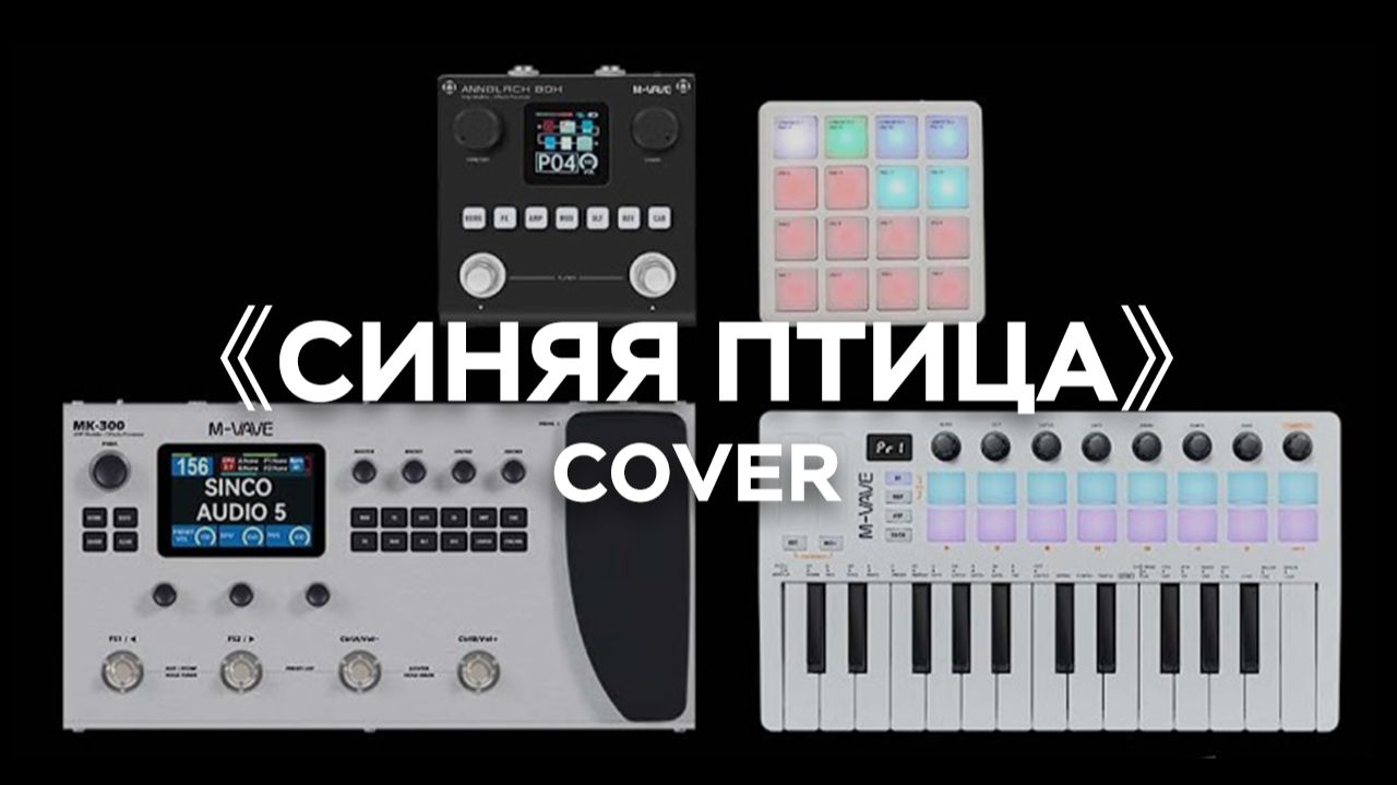«Синяя птица» — MK300 + ANN BLACK BOX + SMK-25 II + SMC-PAD POCKET — Демонстрация исполнения