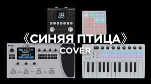 «Синяя птица» — MK300 + ANN BLACK BOX + SMK-25 II + SMC-PAD POCKET — Демонстрация исполнения