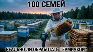 100 семей на одного: реально ли обработать термообработкой? Отвечает Кашковский 🐝⏱️