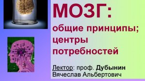 Физиология потребностей 6 - Любовь и привязанность