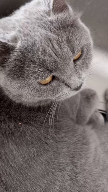 Спряталась