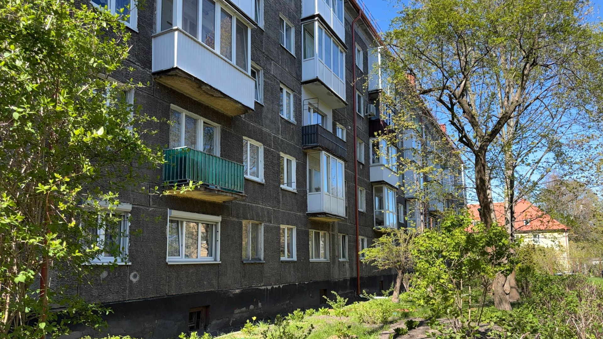 Вид из окна