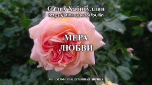 Мера любви