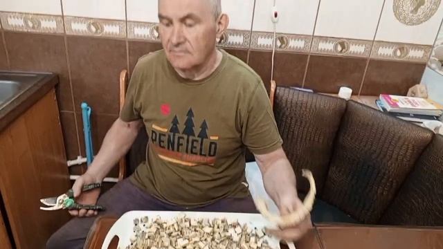 белки ссорятся постоянно