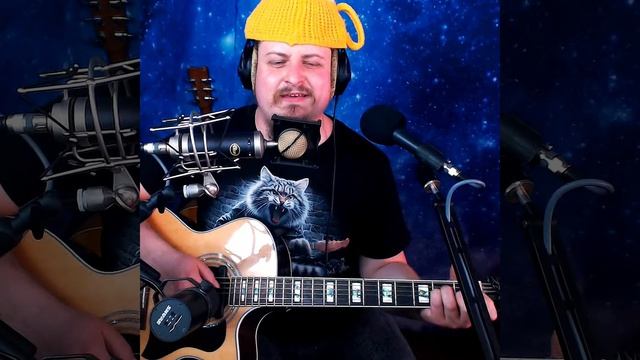 Депнул батарейки = шуточная-кавер-пародия про лудоманию под гитару на Жуки - Батарейка