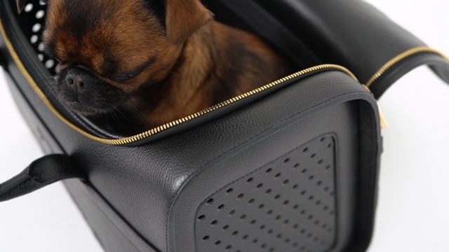 Авиа сумка для собак Tesoro Collezione