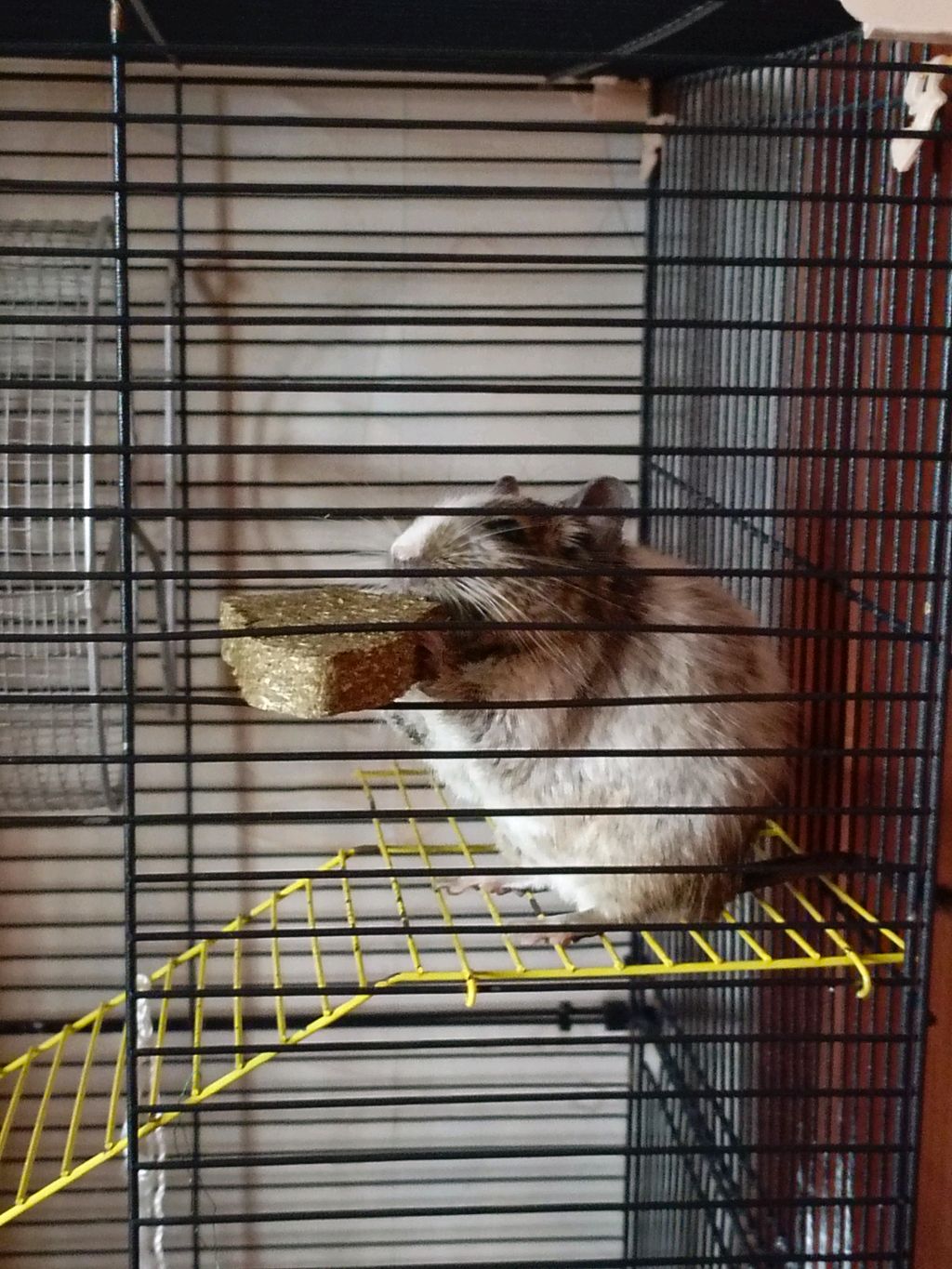 чиг 🙂и миг