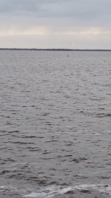 Море вернулось говором чаек. Архангельск. Холодный апрель.