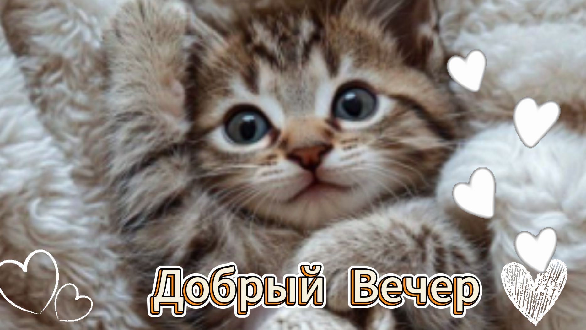 Добрый вечер: красивые открытки и пожелания от души | Домохозяйка