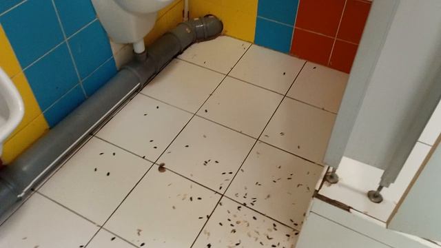 Мусор в школьной уборной с утра пораньше 30-04-2026