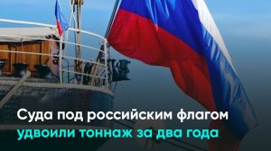 Суда под российским флагом удвоили тоннаж за два года