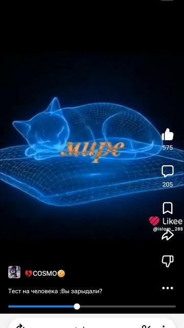 Как кошка чувствует свою смерть