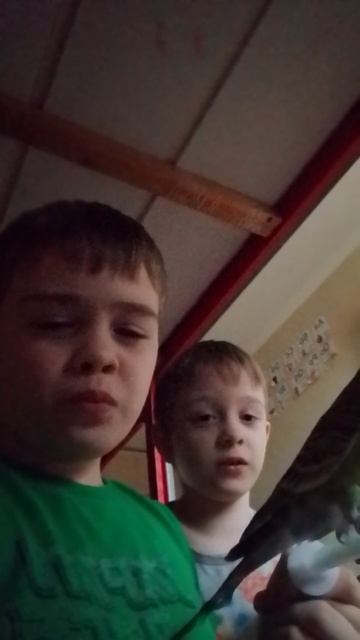 это животные Угадайте кто это