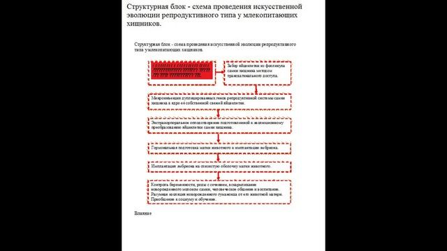 Эволюция человека и инопланетян однотипны до атома!