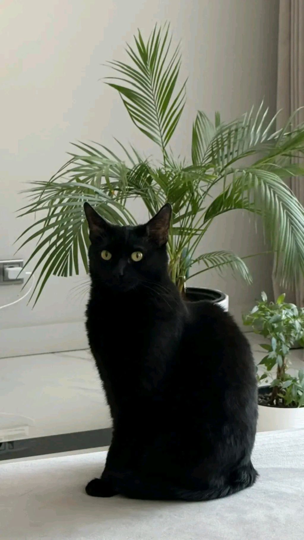 Это мой двор