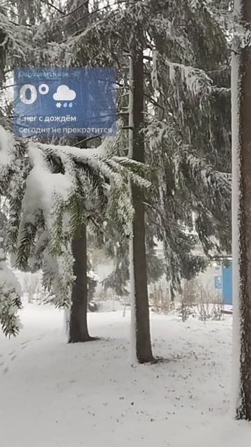 86 февраля. ☃️