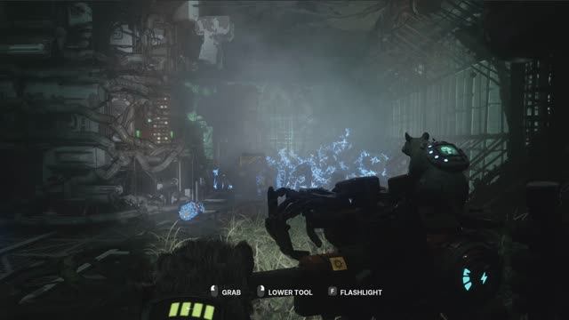 Animal Use Protocol Teaser 2026