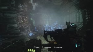 Animal Use Protocol (Teaser 2026)