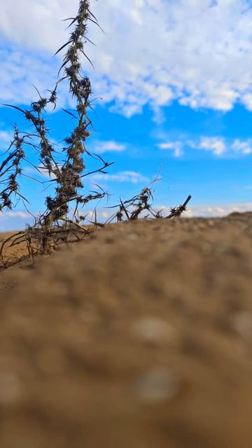 18 марта 2026 г.