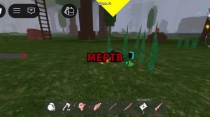 99 ночей в лесу