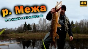 Поездка на РЕЧКУ МЕЖА | Что клюёт на большие приманки?