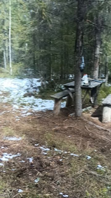 Возле избы нашли много мусора. хватит срать рыбалки охотники