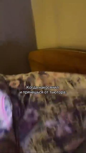 Настоящий квест #shorts