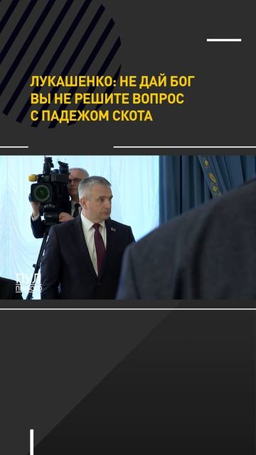 Лукашенко: не дай бог вы не решите вопрос с падежом скота