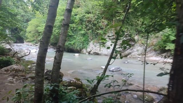 Выход из Хашупсинского каньона. Река Хашупсе, Гагрский район Абхазии, 11.06.1025.