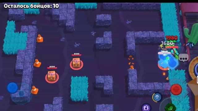 Браво старс