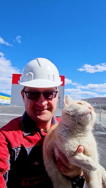 Кошка Барся — заведующая главной проходной завода, желает вам отличных майских выходных!